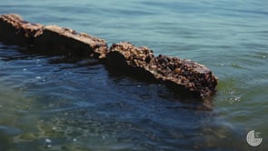 Diving Into The Wreck