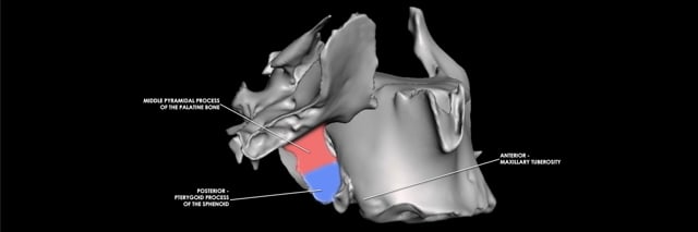 Oral Surgery Animation