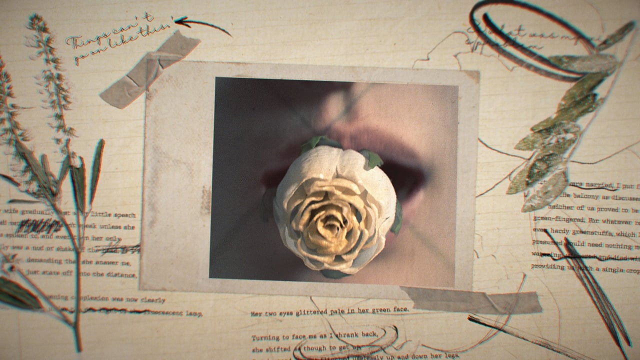 The Fruit of My Woman Title Sequence