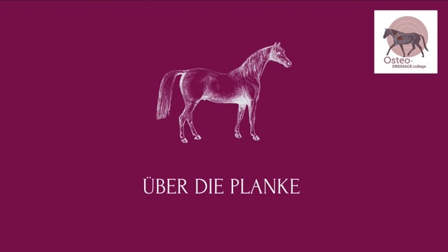 Über die Planke