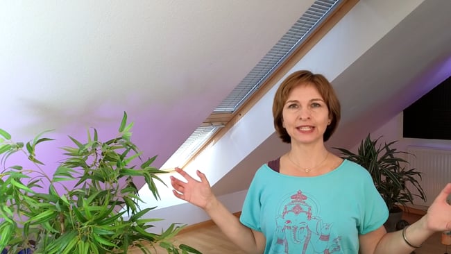 Aura-Auskämm-Übung