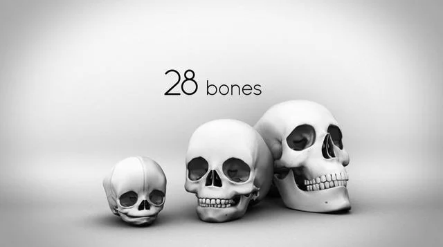 Skull & Bones entra em alfa após oito anos de problemas no desenvolvimento,  diz reportagem