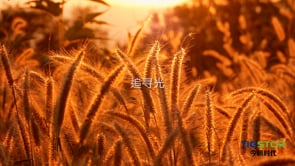2022 Tigstor Year End Video 今朝时代 公司年终视频