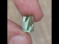 Tourmaline bicolor