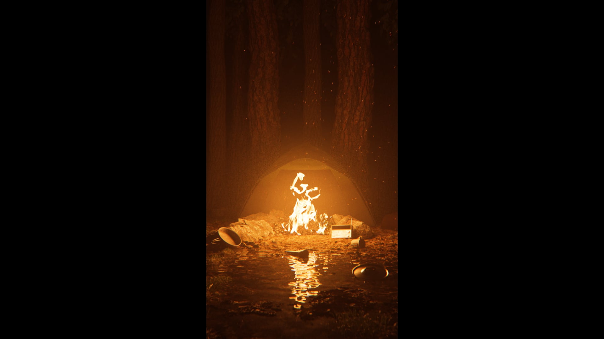 Camping Fire - 3D Animation