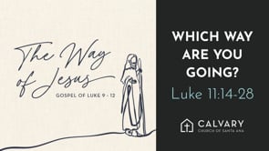 Which Way Are You Going?