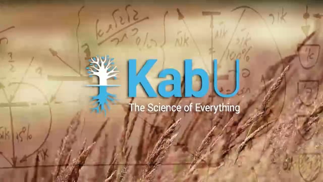 Jun 09, 2024 –  The Life of the Kabbalist & the Kabbalistic Meal