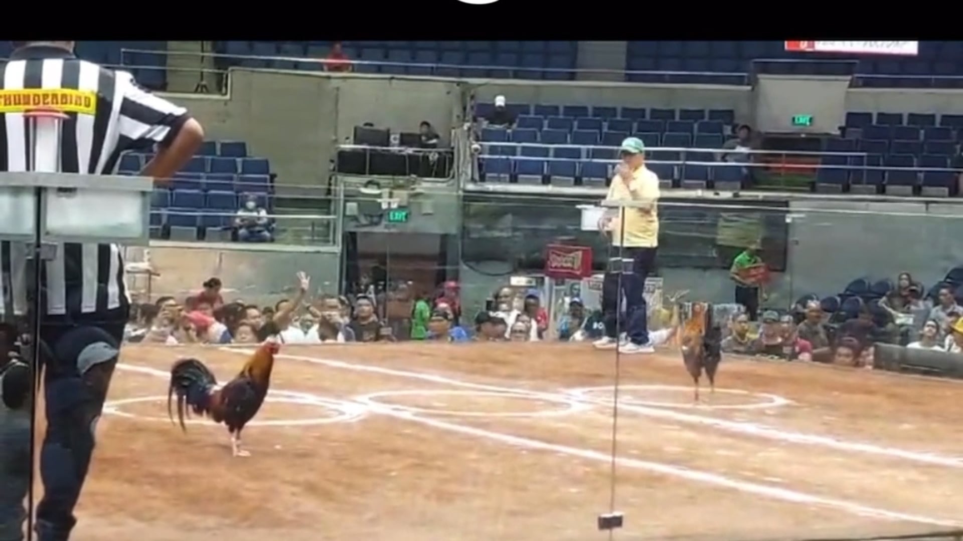 DWGF 6 wins at World Slashers Cup 2024 at the Araneta Coliseum V01