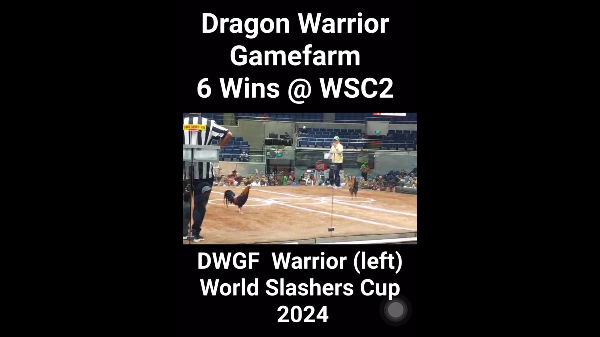 DWGF 6 wins at World Slashers Cup 2024 at the Araneta Coliseum V01