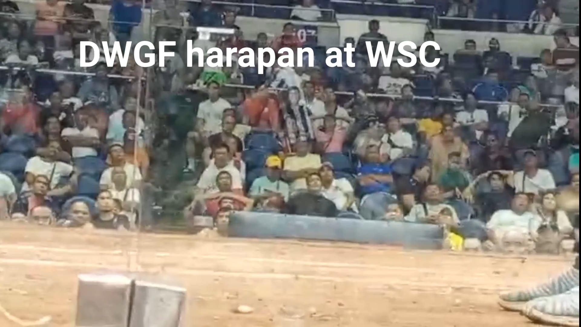 DWGF 6 wins at World Slashers Cup 2024 at the Araneta Coliseum V02