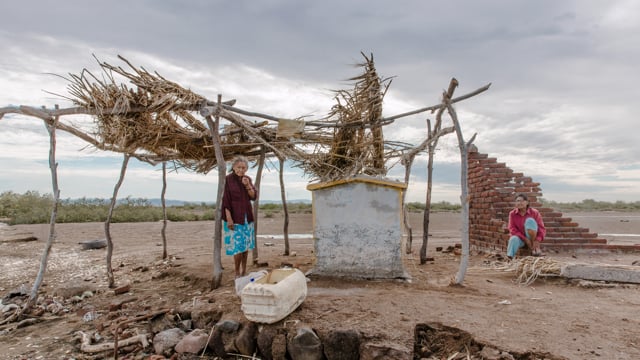 In the heart of the Gulf of California, where the desert meets the sea, lies a remote beach called Los Algodones. There, Mercedes and Armida, two octogenarian Yaqui sisters, camp for long periods of time. Both spent their childhood there, became fishermen, and took refuge from the violence of their partners. Even today, the two find refuge in the sea from hardships and family tensions. However, old age and Alzheimer's disease are marking what could be their last camps. Given the proximity of their own death, the fisherwomen dream of dying at sea, becoming sirens, and staying there forever, in the only place where they found safety and freedom.