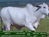 Lote 06