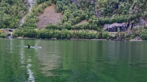 Related Embedded Video Item Thumbnail