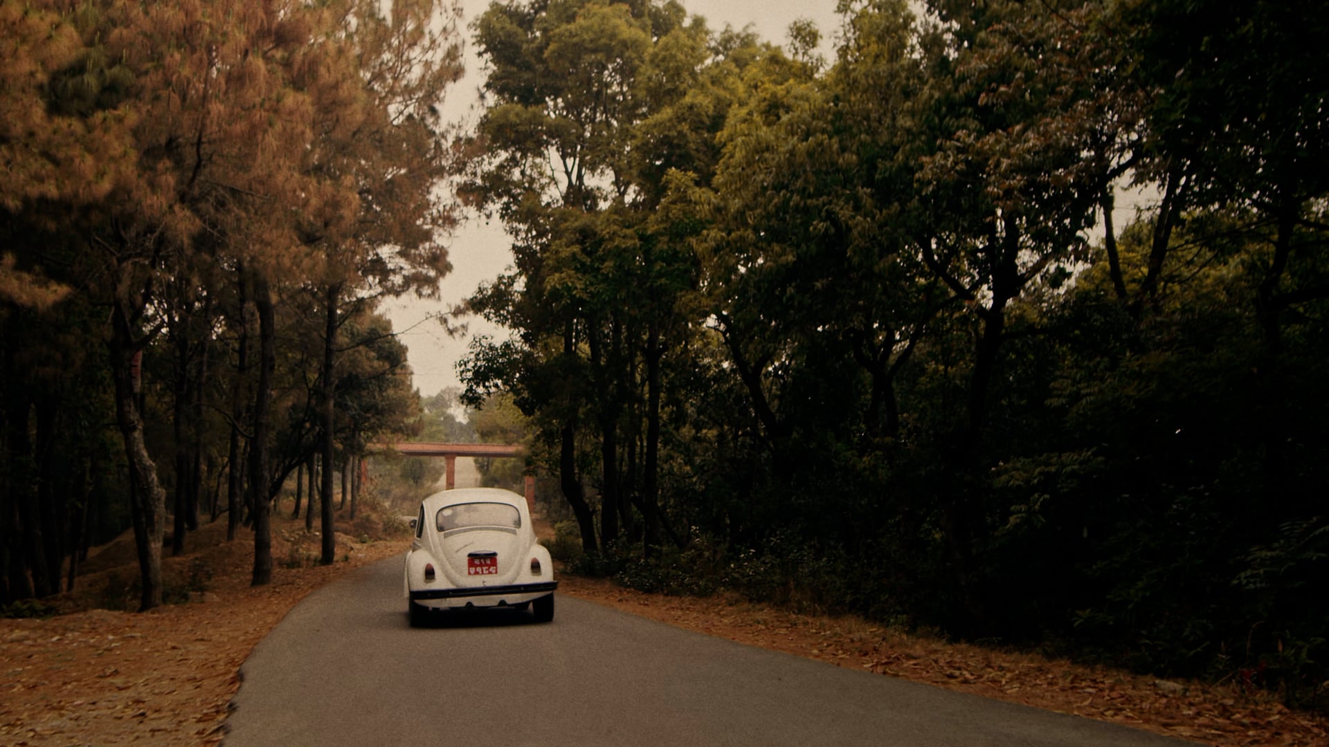 Jhari ra Timro Saath - Pariwartan