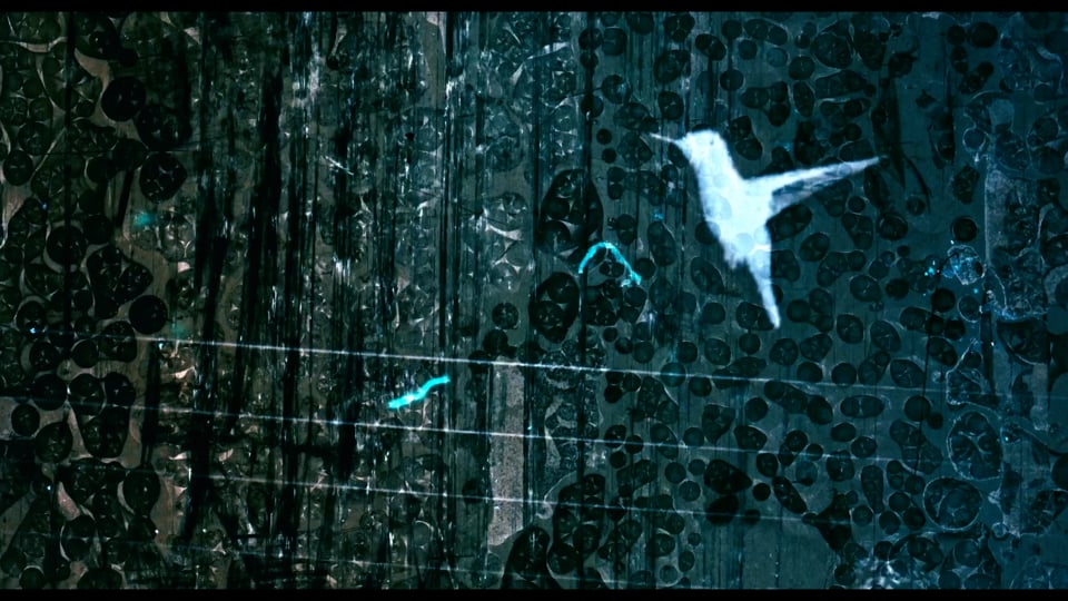 lessons on flight