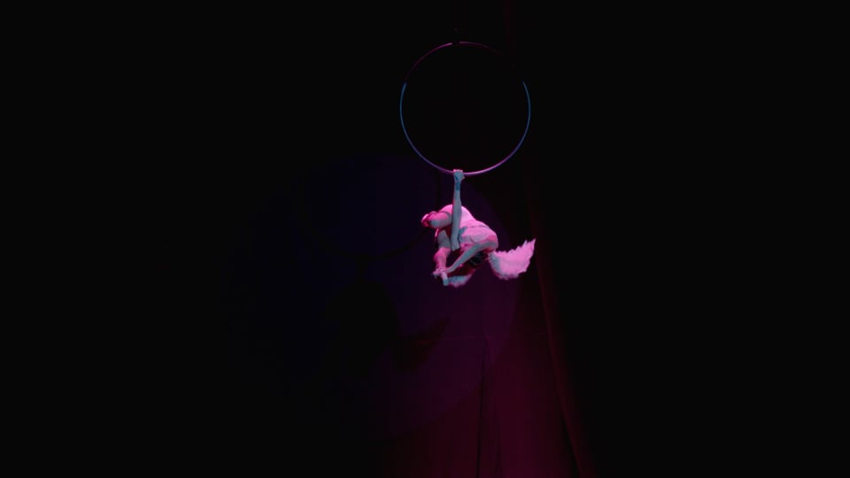 CIRCO NEGRO CEREMONIA TEASER