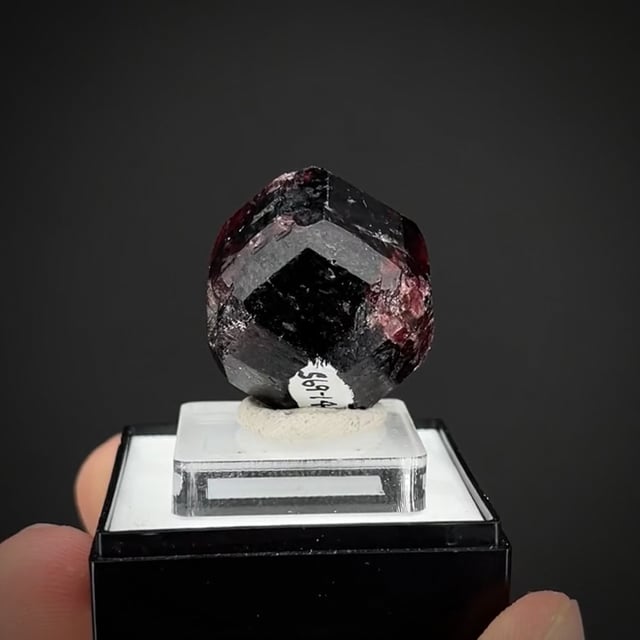 Garnet Group (rare Alaska)