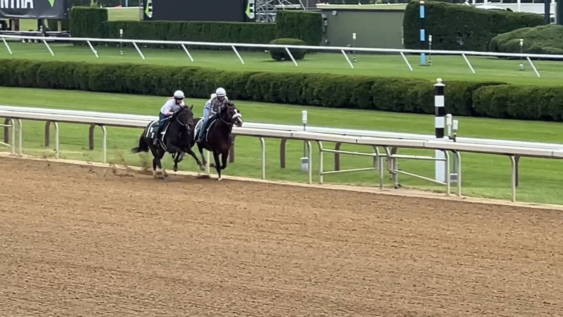 Tiz Dashing (Inside) & Spirit of The Law Breeze 3f - Saratoga Race ...