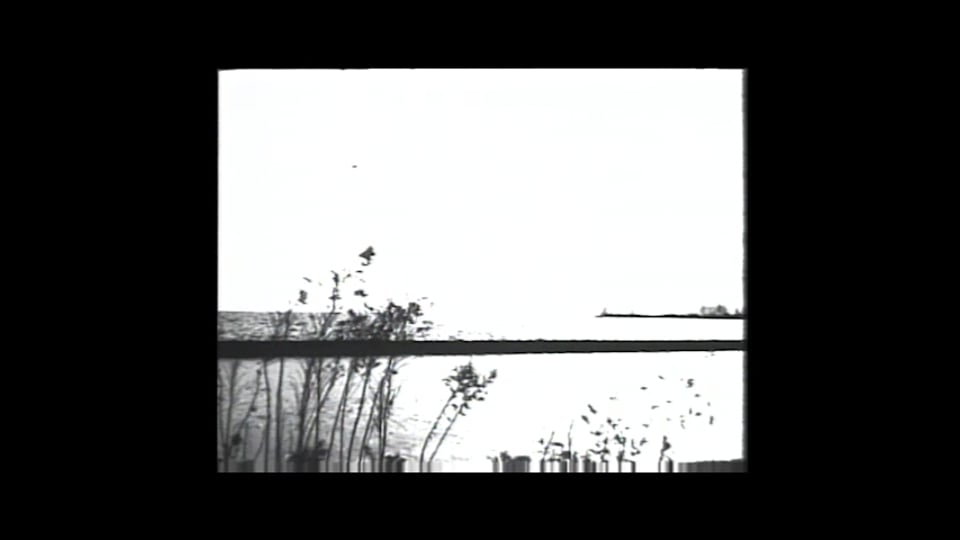 Serenade of Reflective Moments, A