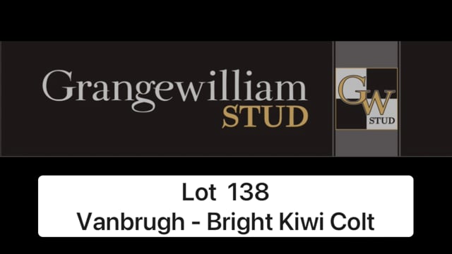 Lot 138