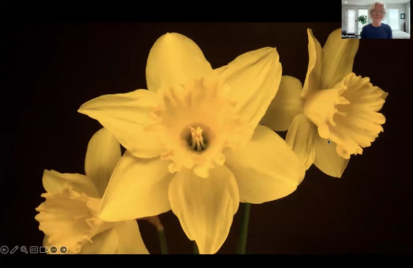 vimeo-video-thumbnail