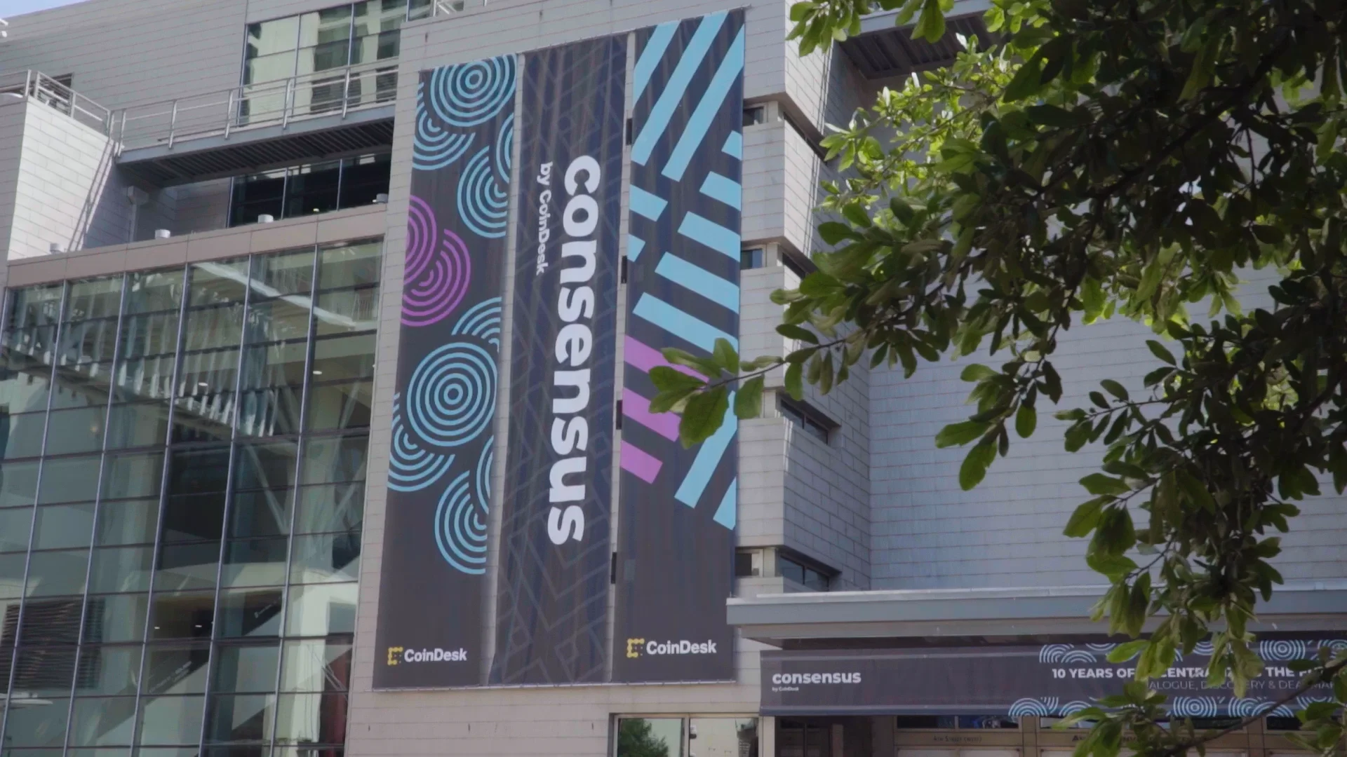 Consensus office