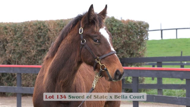 Lot 134