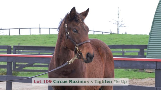 Lot 109