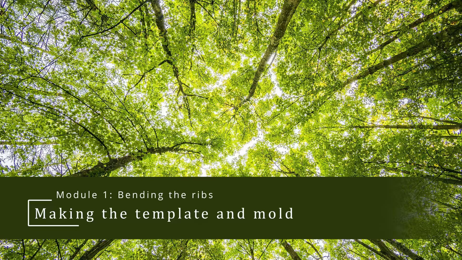 Making the template and the mold