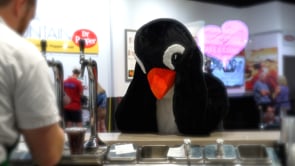 Waddle to Waco - Penguin Exhibit at Cameron Park Zoo Opening Soon!