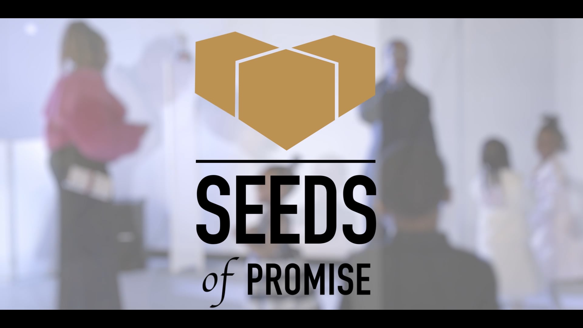 Seeds of Promis PEACE Ball 2024 Highlight Social Media Short 2