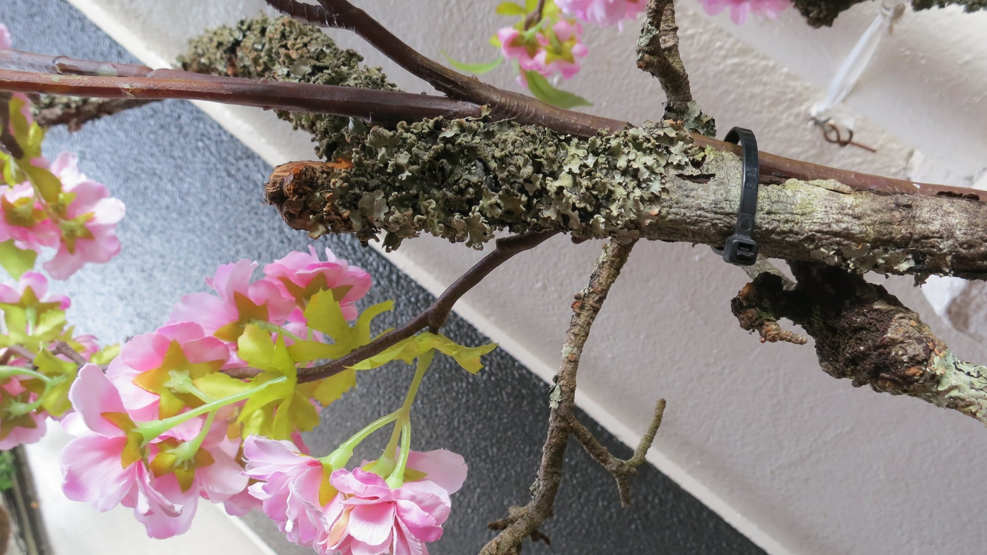 2024 June 05: We Are What We Eat