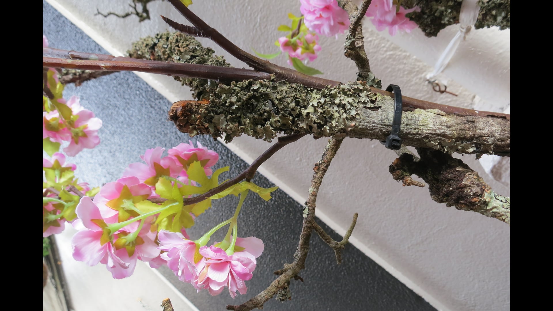 2024 June 05: We Are What We Eat