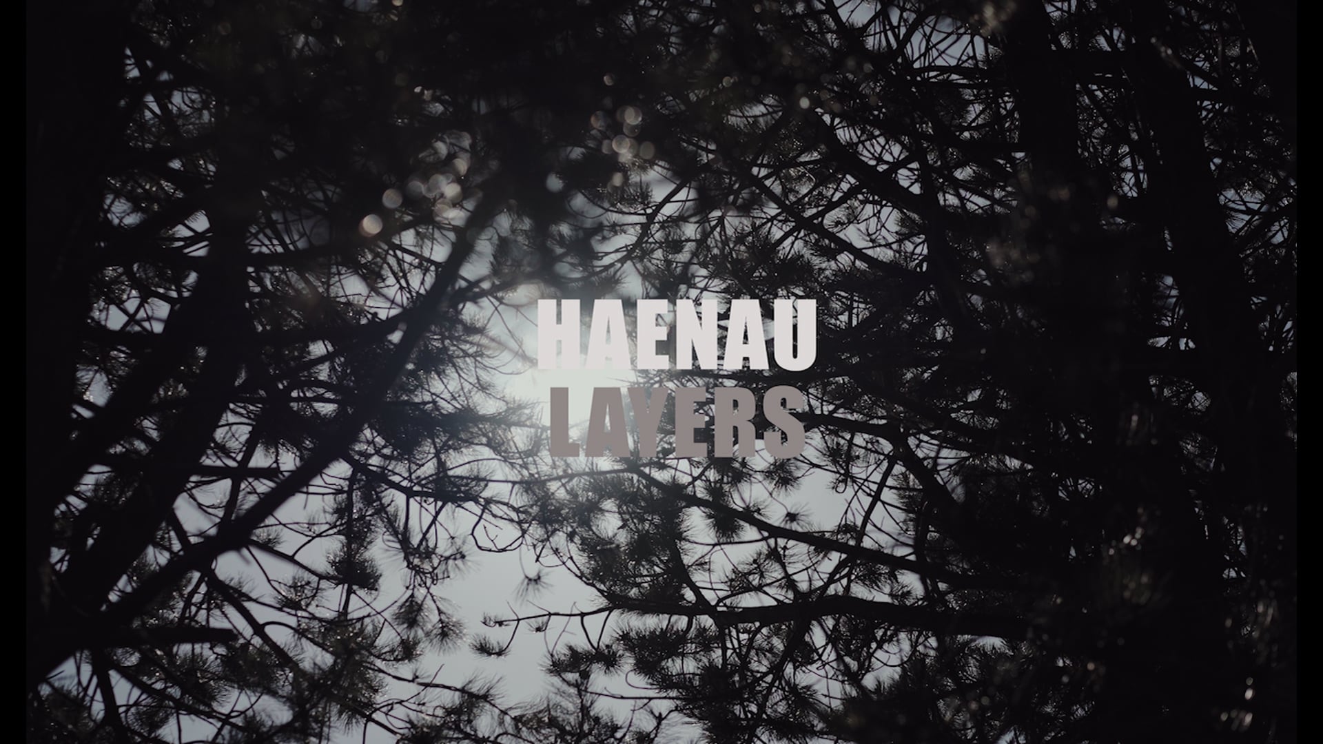 Haenau / Layers