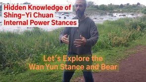 Hidden Knowledge of Shing-Yi Chuan Power Stances
