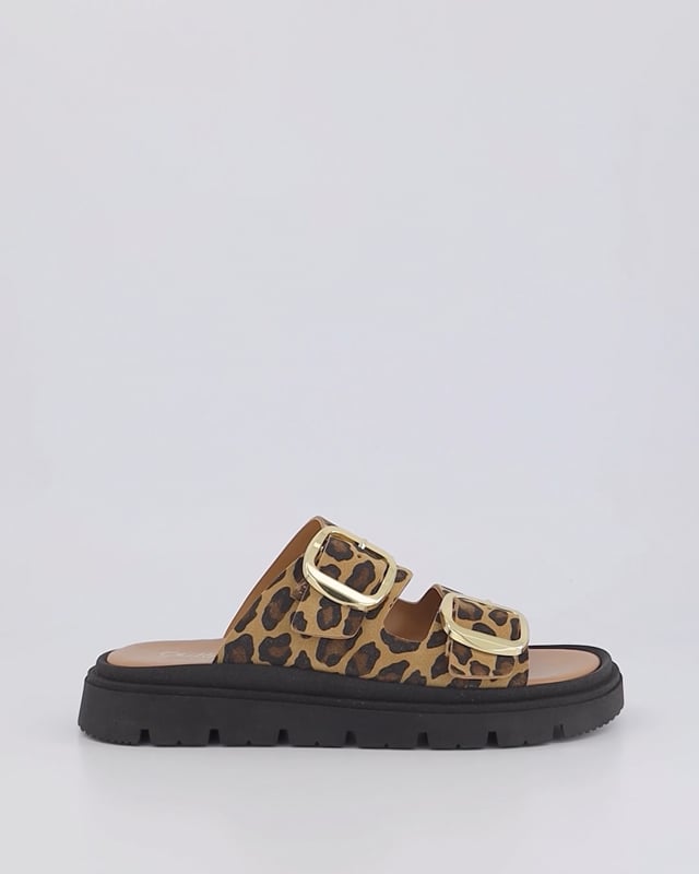 KLOEY / Animal Print