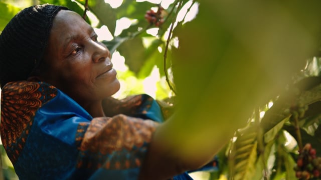 Van droom naar werkelijkheid - Het Fortune Coffee Oegandaproject