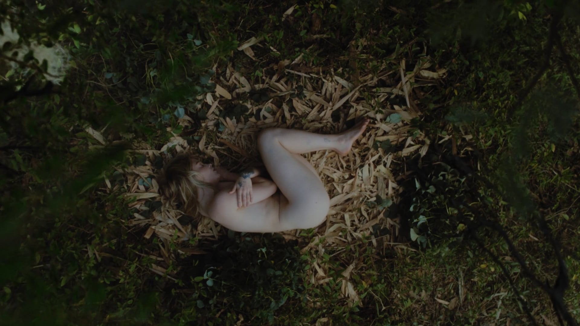 Intimate Scandal: A Cautionary Tale