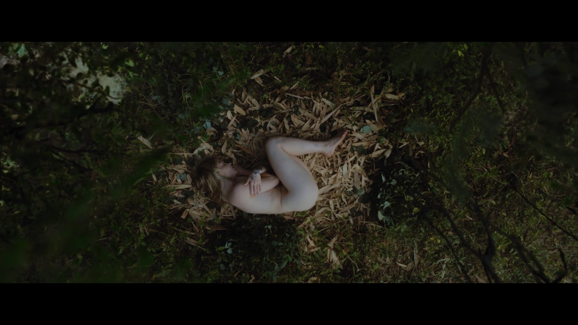 Intimate Scandal: A Cautionary Tale