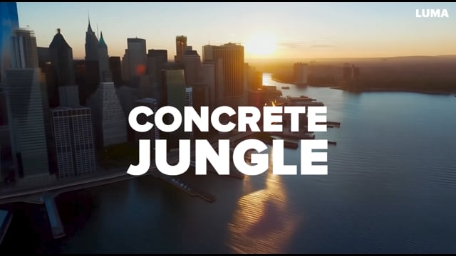 Concrete Jungle (Remastered)