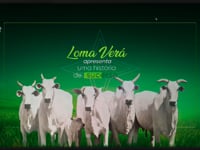 LOMA VERÁ