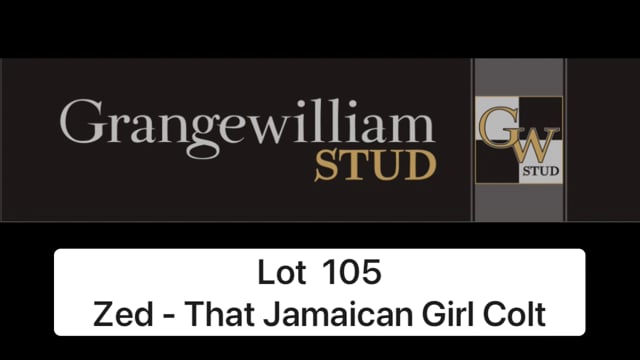 Lot 105