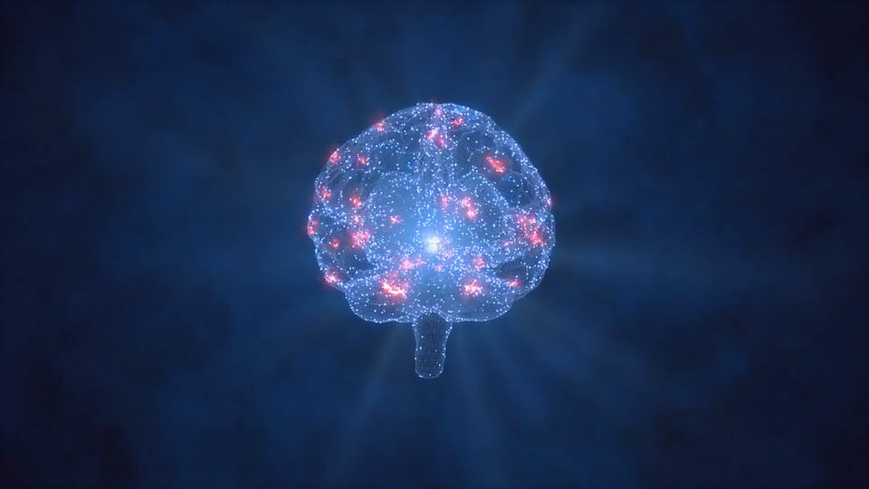 https://i.vimeocdn.com/video/1872007066-a1a03ff06022535976c6b36cd676d623f92d1aee6b06bf3712b9829c3abeadbe-d