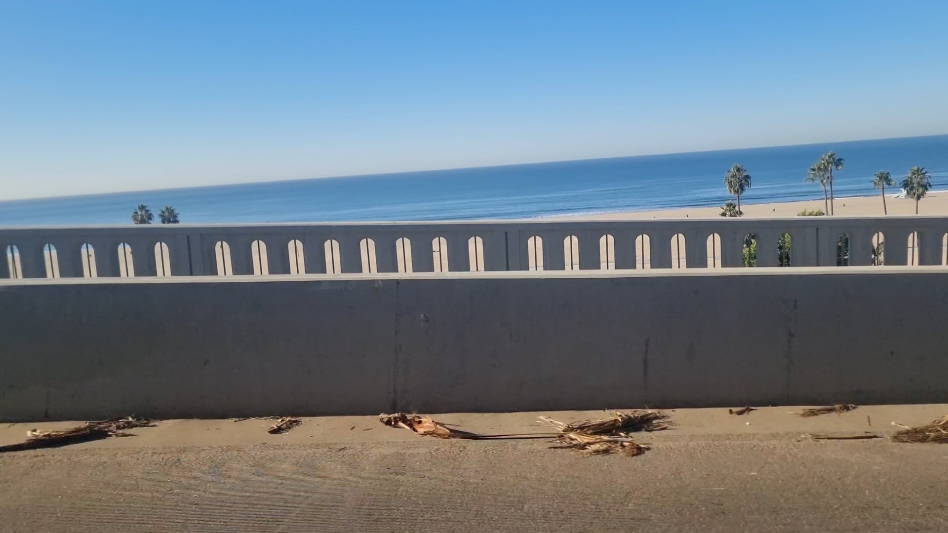 Santa Monica (2024)