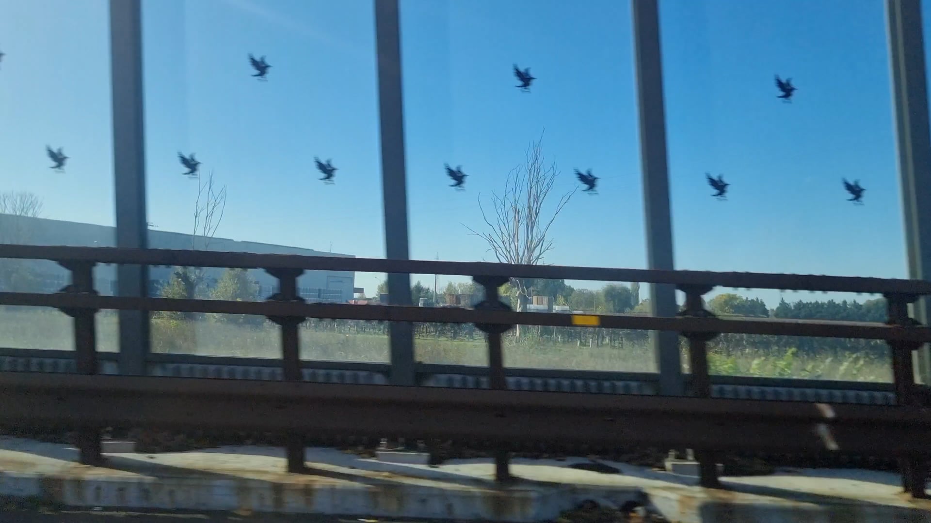 Birds 2 (2024)