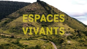 Espaces Vivants | OUVERTURE(S) #10 | Dimanche 2 Juin 2024