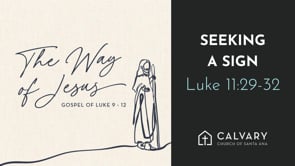Seeking A Sign