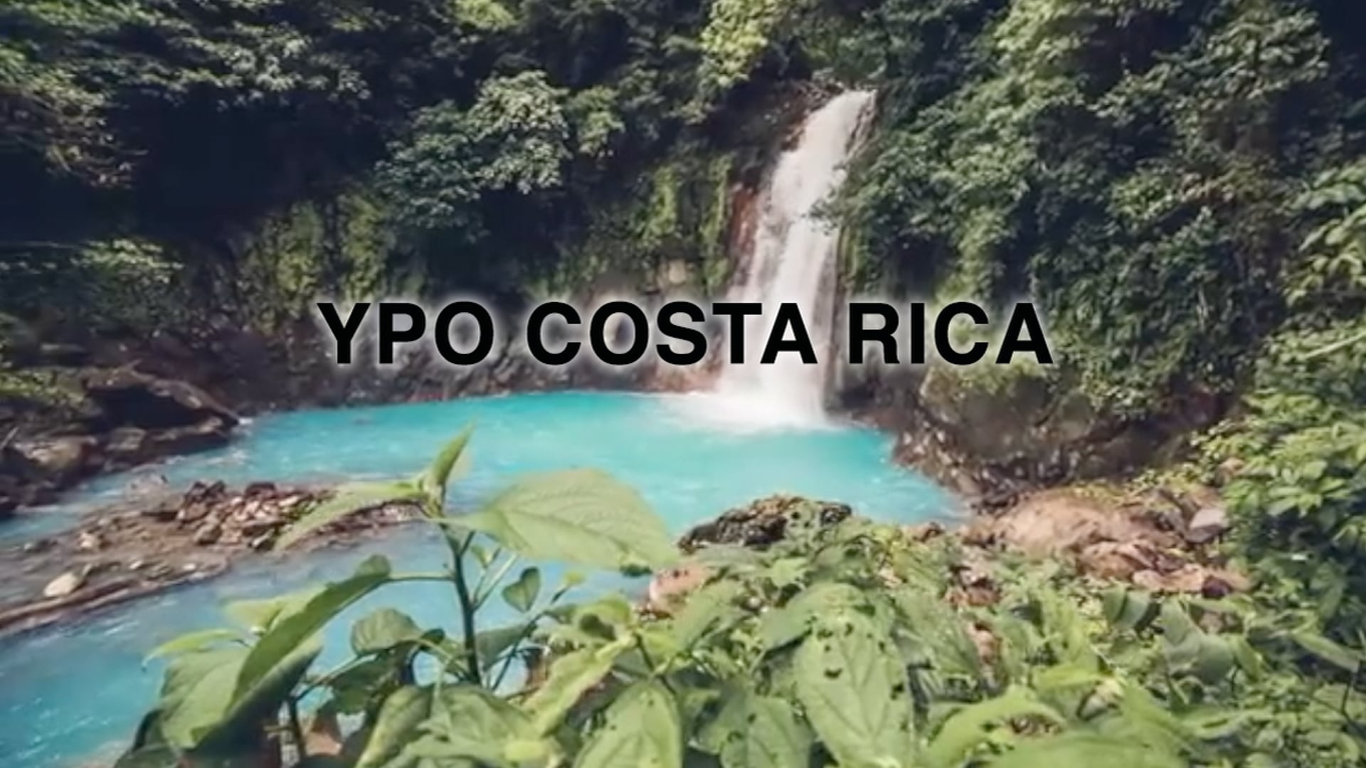 YPO COSTA RICA