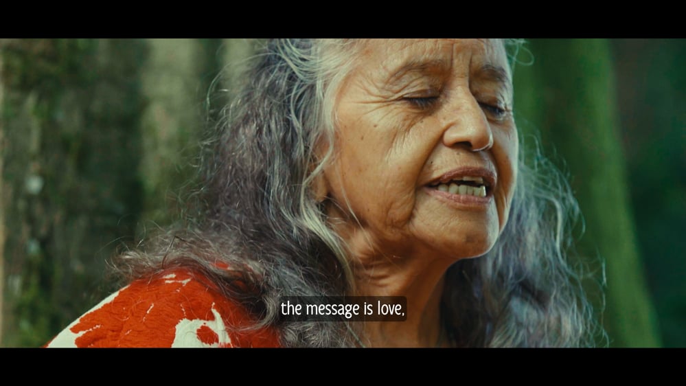 Cover image from the official Medicine Festival Aftermovie
