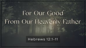 6/23/2024 - HEBREWS 12:1-11 - For Our Good, From Our Heavenly Father